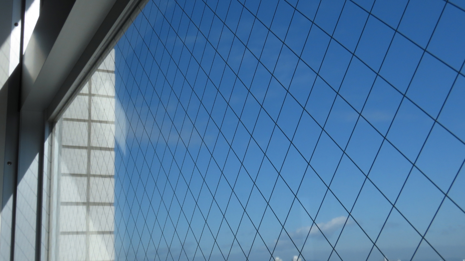 網入りガラス（透明）