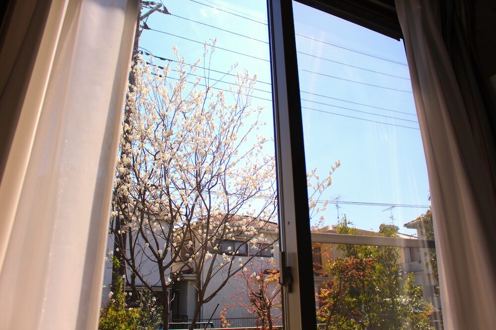 フロートガラス