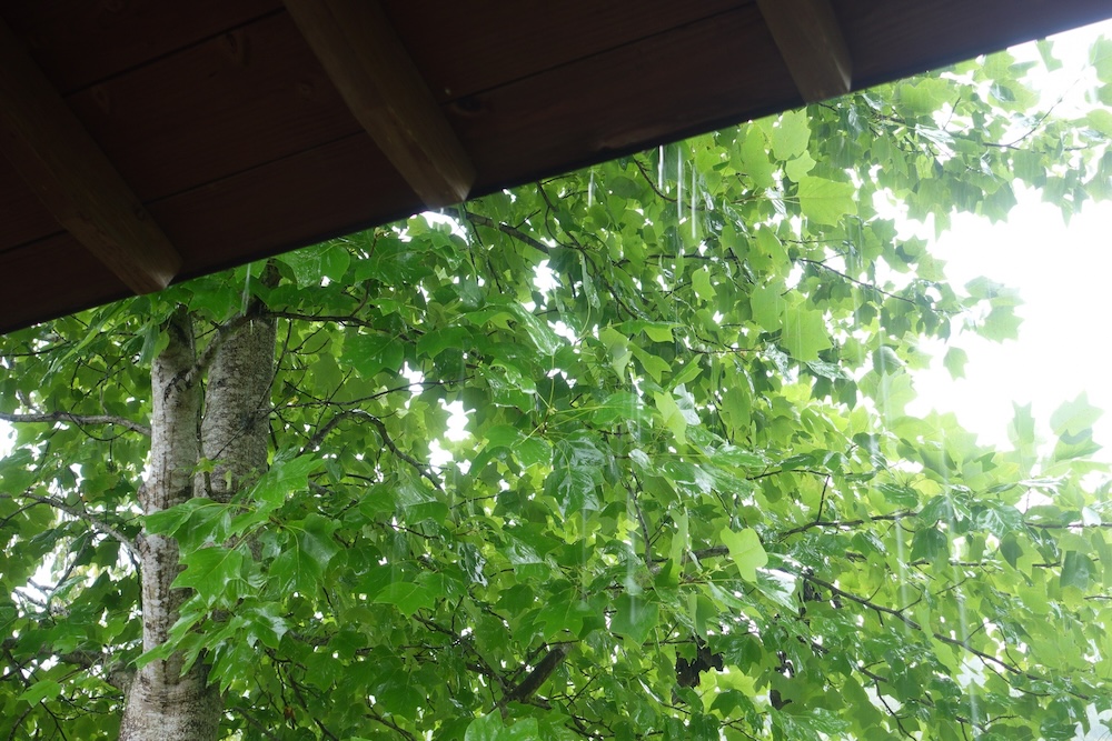 雨が降っている