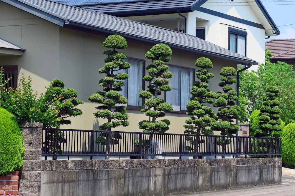 植栽